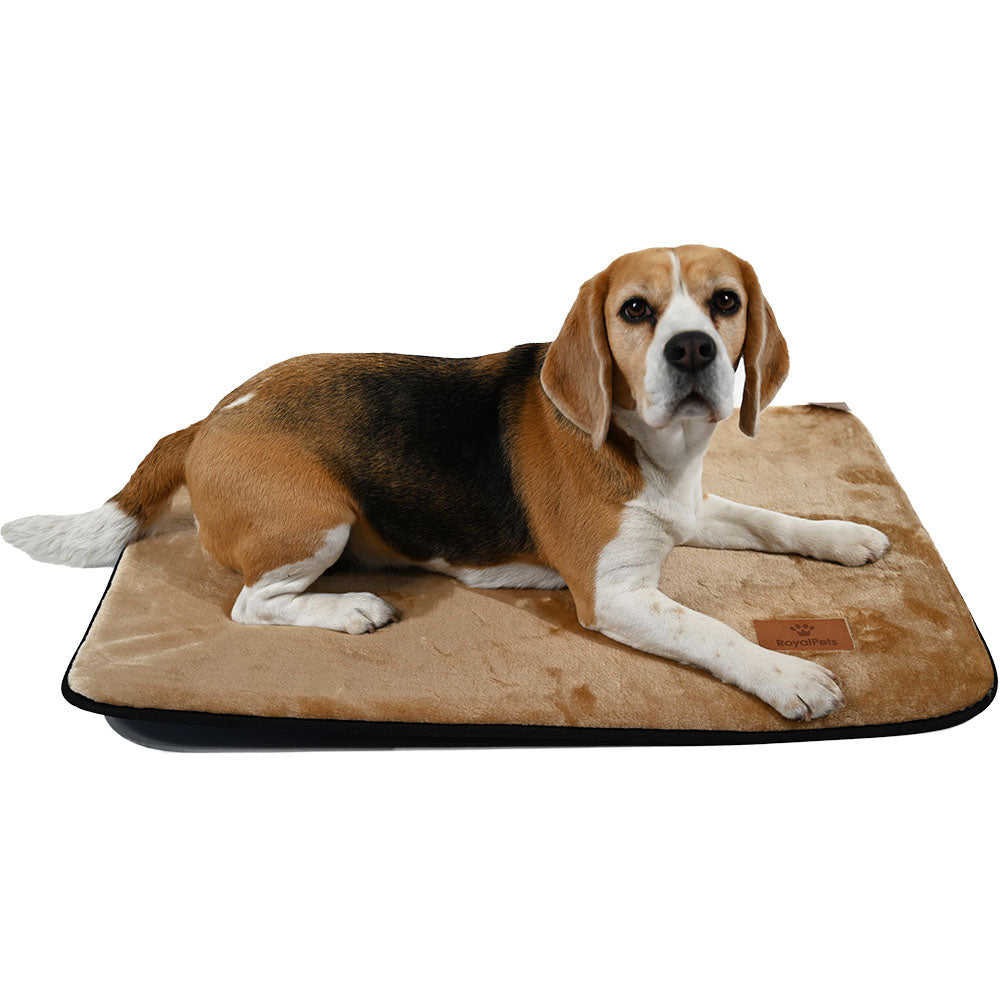 RoyalPetsProducts.pl | Luksusowe legowiska dla psów